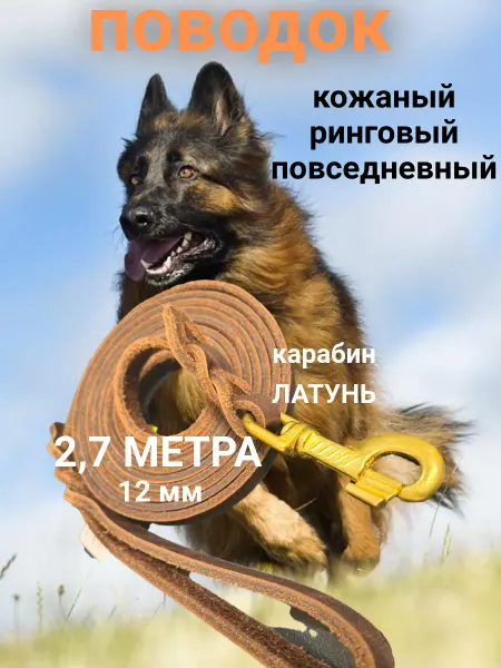 Поводок кожаный повседневный ринговый 2 7 м карабин латунь