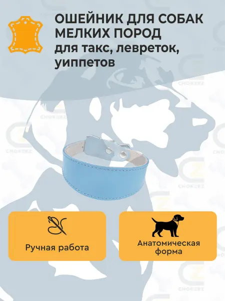 CHOKERZ Ошейник для собак мелких пород кожаный на шею 24 см