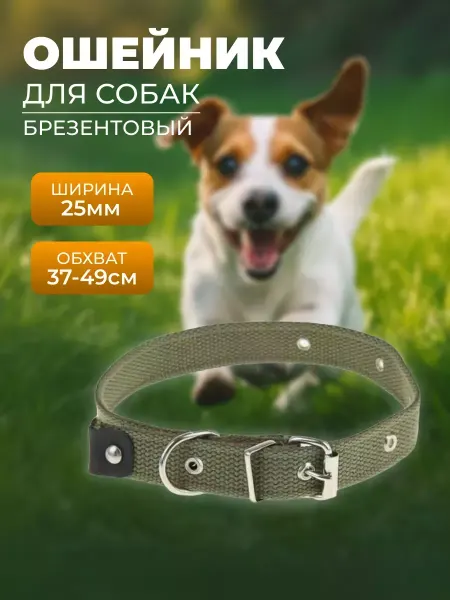 Pro100market Брезентовый ошейник для собак обхват 37-49см ширина 25мм