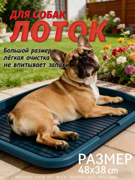 Лира Красота Туалет лоток для собак с сеткой под пеленку 47.5*37.5см