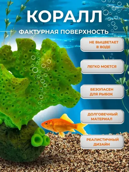 Amalivecare Декор для аквариума Коралл Акропора