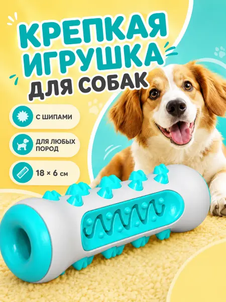 Gift Angel Игрушка для собак кость с прорезью крепкая