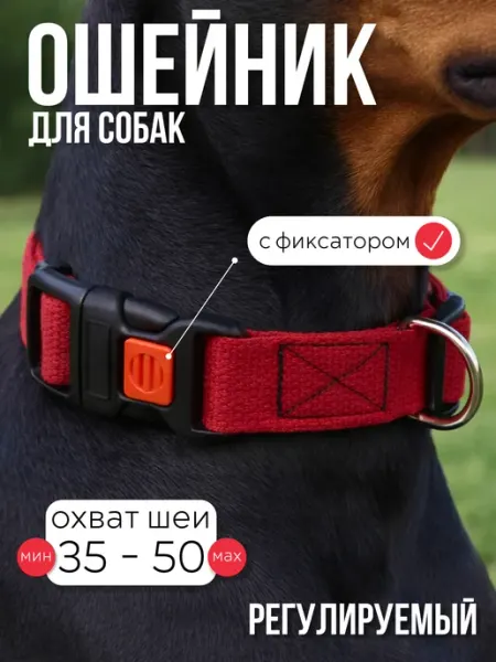 Dog's Paradise Ошейник для собак средних и крупных пород регулируемый