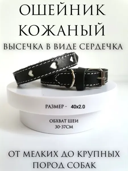 Family Hearth Ⅰ Ошейник кожаный для собак