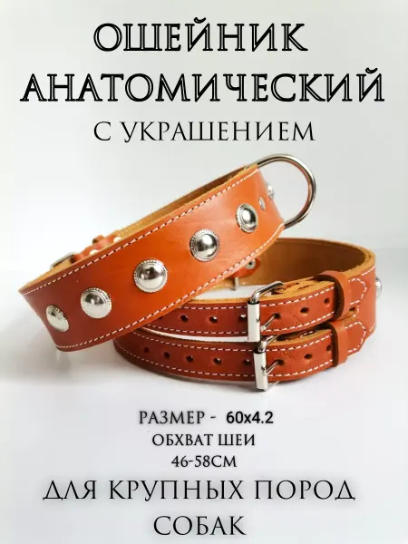 Family Hearth Ⅰ Ошейник кожаный с украшением