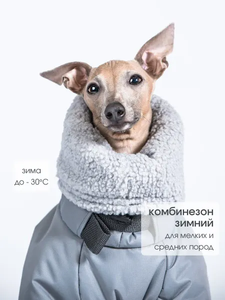 GREYDOG Комбинезон зимний для собак FROST WIND