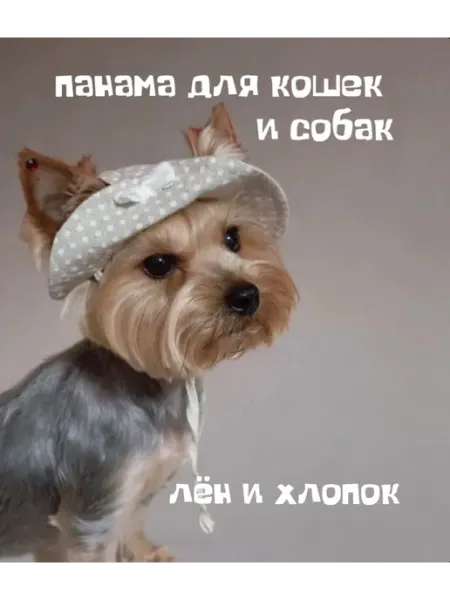 LISAMI Кепка для собак и кошек мелких и средних пород