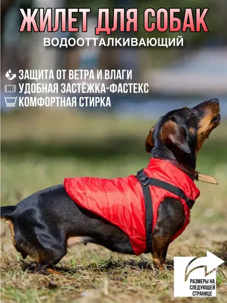 Napa_imprint Жилет для собак мелких и средних пород водоотталкивающий