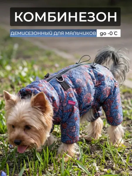Yoriki Демисезонный комбинезон для собак мелких пород