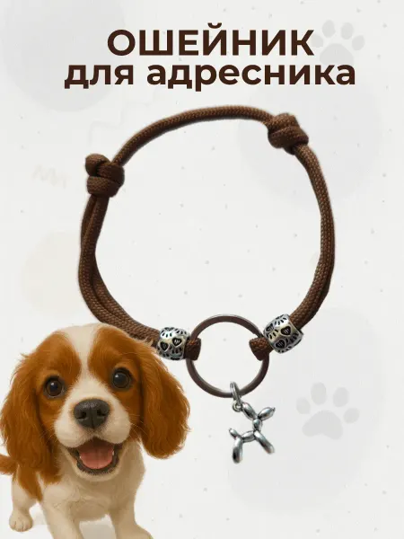 Шнурок для адресника Ошейник- с кулоном для собак