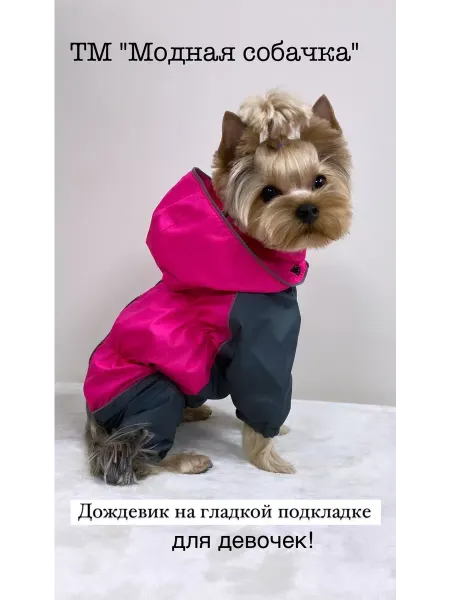 Модная собачка Комбинезон для собак "Андорра "