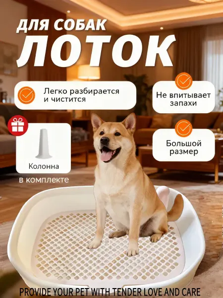 Современный лоток для собак с бордюром и сеткой