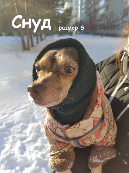 Снуд для собак средних пород зимний на голову черный