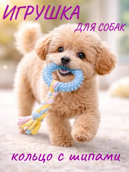 Игрушка для собак "Кольцо" с канатом и шипами
