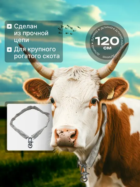 Ошейник КРС для коров и телят цепной