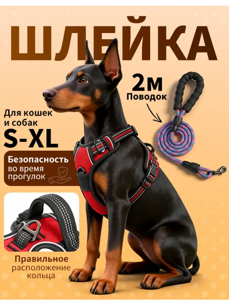 Шлейка с поводком для маленьких и средних собак, размер XL