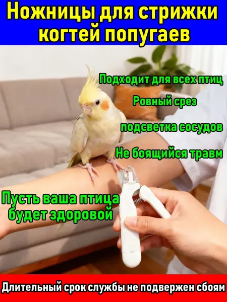 Подсвечиваемые ножницы для ногтей в форме попугая