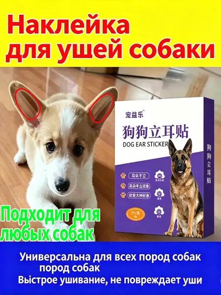 Поддерживающий пластырь для собачьих ушей