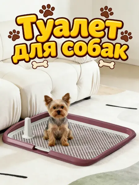 Лоток с колонной для собак
