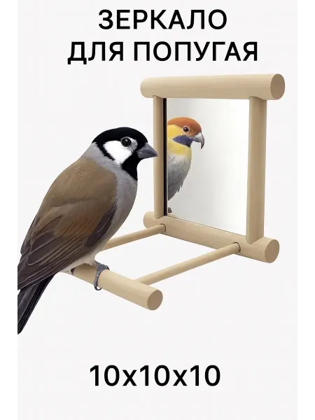 Зеркало для попугая