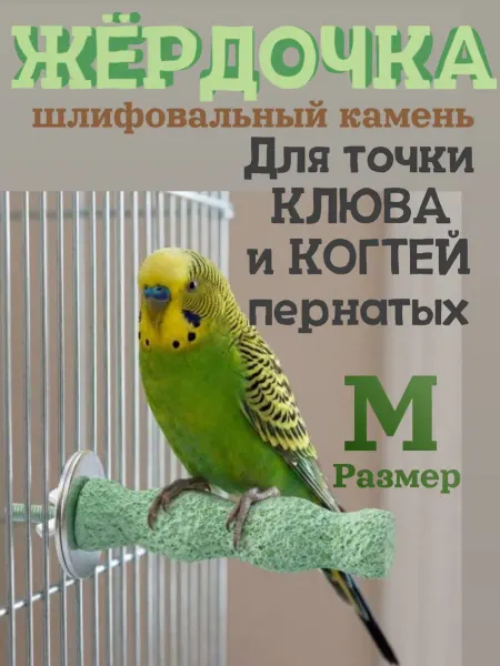 Жёрдочка для попугаев