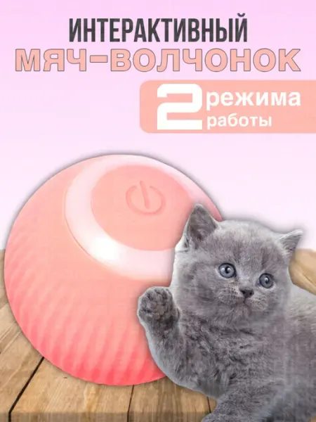 BarryHome Игрушки для кошек