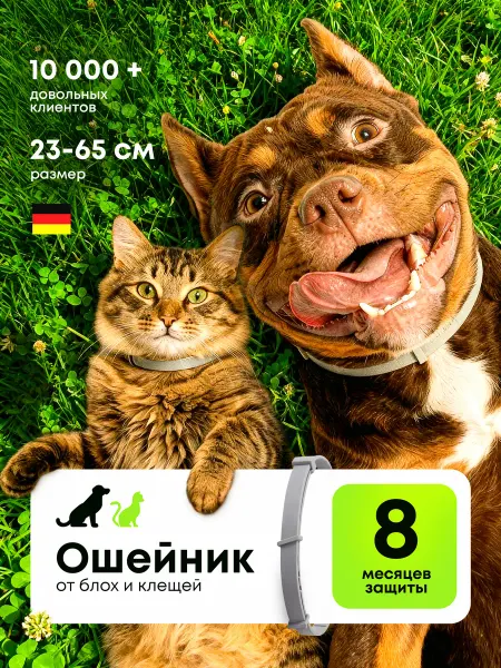 Ошейник от блох и клещей