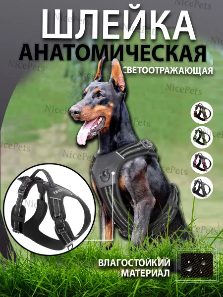 NicePets Шлейка для собак