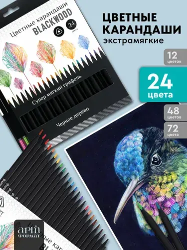 Набор цветных карандашей АРТформат Blackwood, 6В мягкие, 24 шт