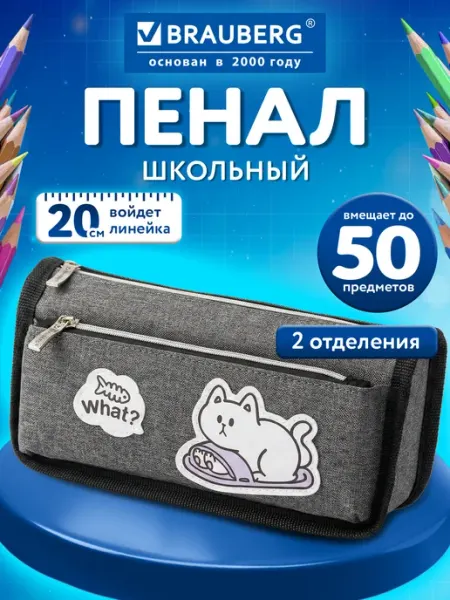 Brauberg Пенал школьный для карандашей и ручек мягкий 2 отделения