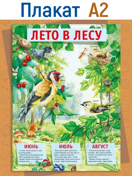 ТМ Мир поздравлений Плакат Лето в лесу для детского сада на стену, а2