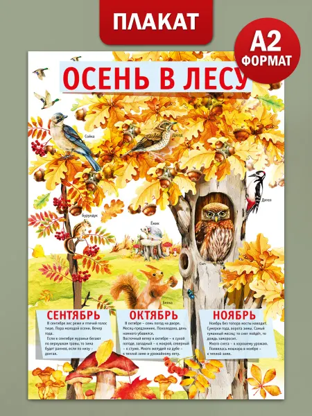 ТМ Мир поздравлений Плакат Осень в лесу для оформления детского сада А2
