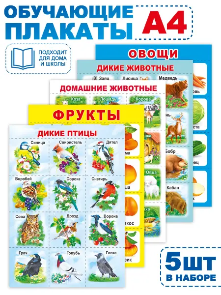 ТМ Мир поздравлений Набор обучающих плакатов окружающий мир в школу