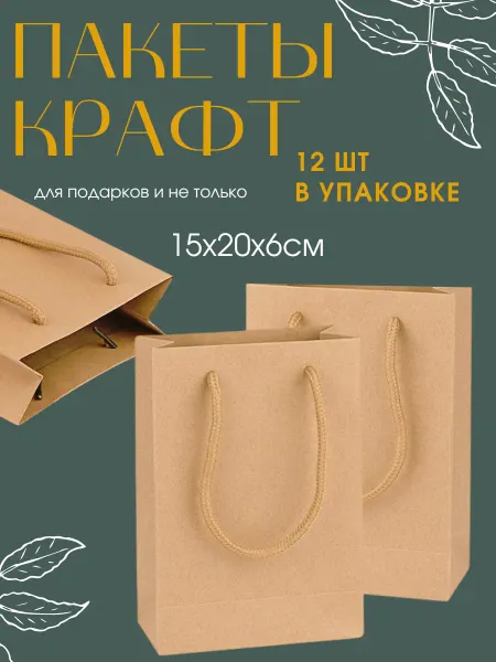 Eco-Gift Пакет подарочный крафт15х20х6 см, 12 шт