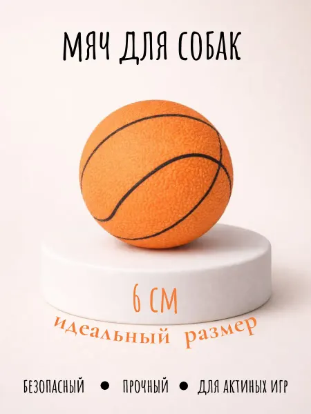 Мяч для собак баскетбольный TPR 6 см