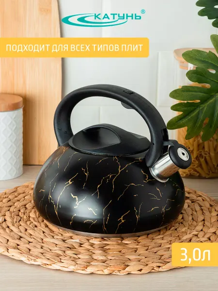 Катунь Чайник для плиты 3 л