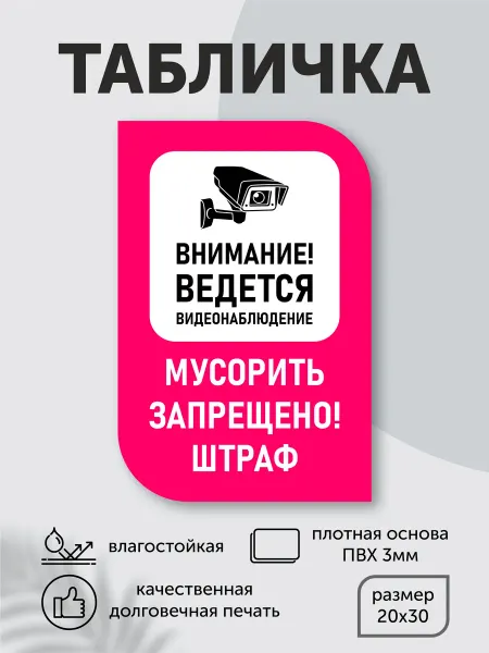 Табличка пластиковая "Ведется видеонаблюдение" 20см*30см
