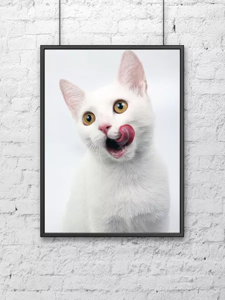 Poster Mall Постер на стену Фото Белая Кошка 30х40