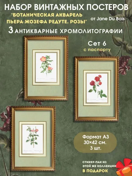 Постеры на стену интерьерные Розы