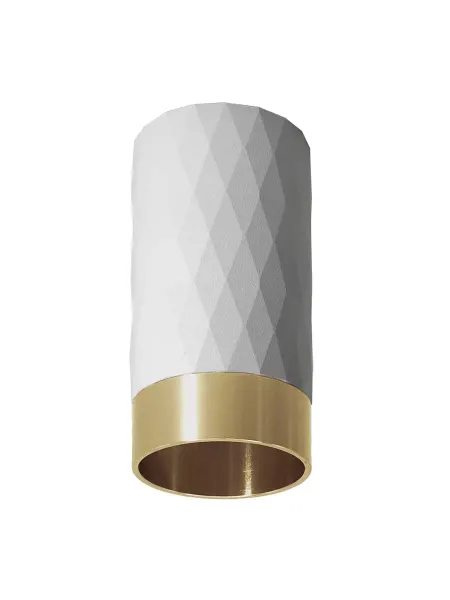 Arte Lamp Точечный накладной светильник FANG A5658PL-1WH