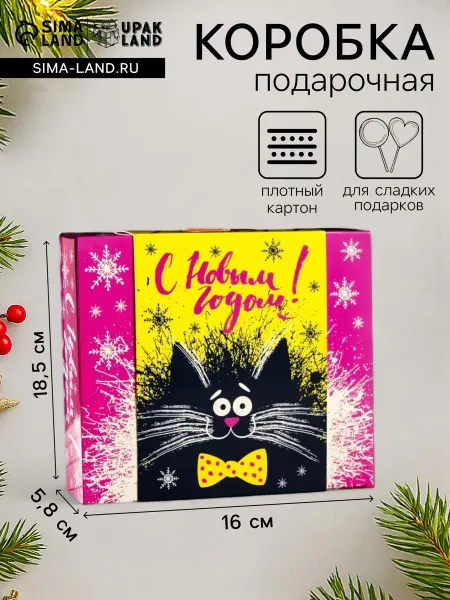 Fontera Подарочная новогодняя коробка «Чёрный кот» 18.5×16×5.8