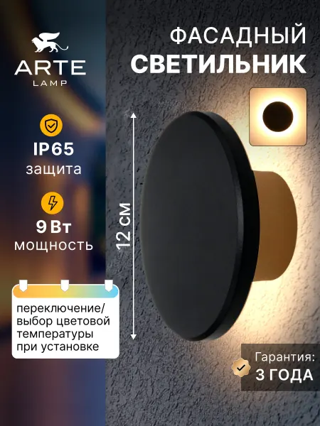 Arte Lamp Фасадный светильник NIMBO A3409AL-1BK