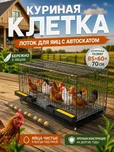 Клетка для кур несушек с лотком для яиц и выдвижным поддоном, 85 60 70 см