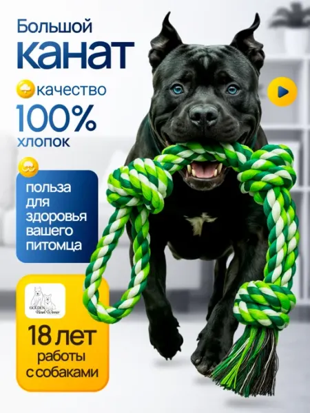 Golden Heart Winner Канат для собак крупных и средних пород 60 см