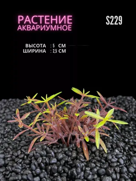 ZooAqua Растение для аквариума искусственное 2.5х5 см S229