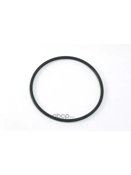 VAG Уплотнительное кольцо N 91095601 Комплект из 2 шт