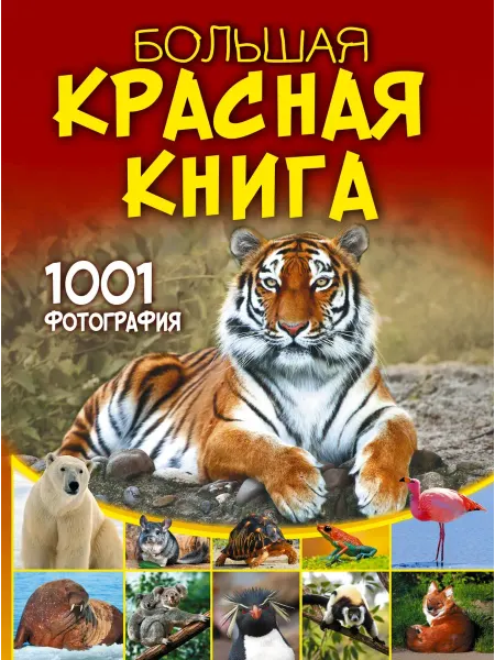 АСТ Большая красная книга. 1001 фотография