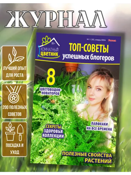 Цветок журнал. Топ-советы успешных блогеров №1 24