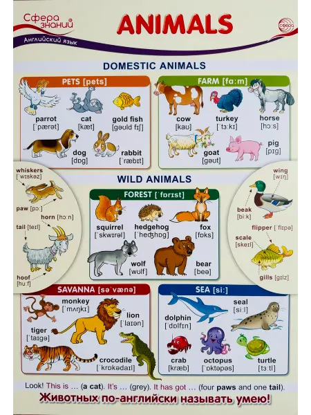 Издательство Сфера Плакат по английскому языку А3 Animals Животные