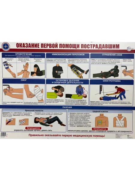 Издательство Сфера Плакат А2 Оказание первой помощи пострадавшим